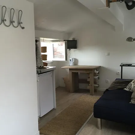 Apartment Sous Les Toits De *
