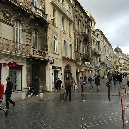 Sous Les Toits De Montpellier